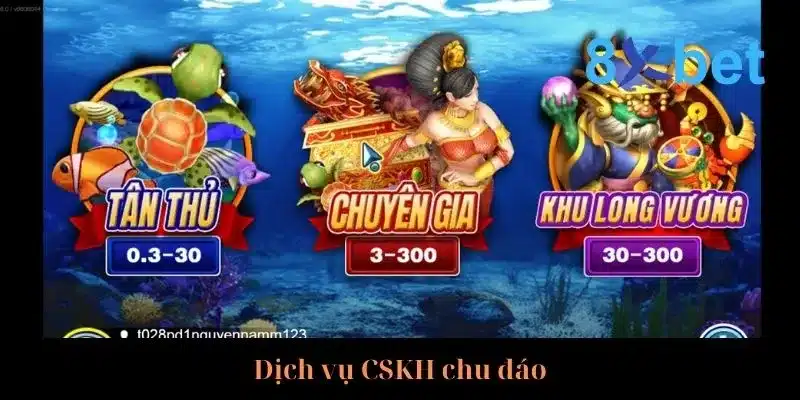 Cẩm Nang Săn Cá Rồng Rinh Về Thưởng Lớn Từ Cao Thủ 3 Hỗ trợ người chơi 24h cực kỳ tận tình